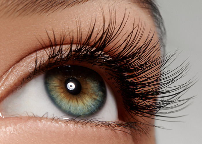 Eye Lashes